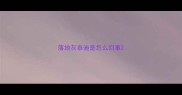 落地灰泰迪是怎么回事