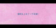 猫咪头上长了一个疙瘩