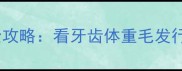 拉布拉多犬年龄判断全攻略看牙齿体重毛发行为特征科学辨龄指南
