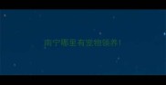 南宁哪里有宠物领养