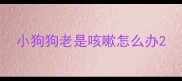 小狗狗老是咳嗽怎么办