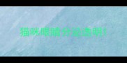 猫咪眼睛分泌透明