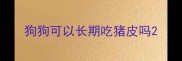 狗狗可以长期吃猪皮吗