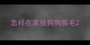 怎样在家给狗狗剪毛