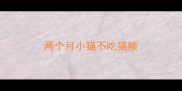 两个月小猫不吃猫粮