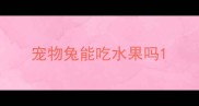 宠物兔能吃水果吗