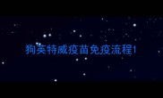 狗英特威疫苗免疫流程