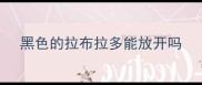 黑色的拉布拉多能放开吗