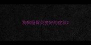 狗狗肠胃炎变好的症状