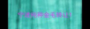 宁波纯种金毛转让