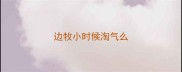 边牧小时候淘气么