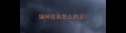 猫咪疫苗怎么购买