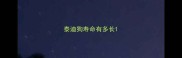 泰迪狗寿命有多长