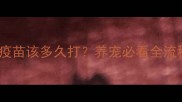 体内驱虫后疫苗该多久打养宠必看全流程指南