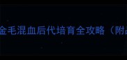 新手养狗必看拉布拉多与金毛混血后代培育全攻略附品种对比繁殖禁忌幼犬护理