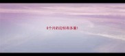 8个月的边牧有多重