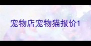 宠物店宠物猫报价