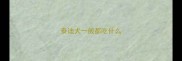泰迪犬一般都吃什么