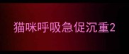 猫咪呼吸急促沉重