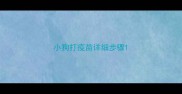 小狗打疫苗详细步骤