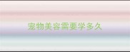 宠物美容需要学多久