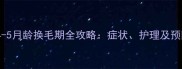 博美犬4-5月龄换毛期全攻略症状护理及预防措施