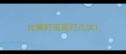 比熊打疫苗打几次