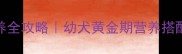 7个月大狗狗喂养全攻略幼犬黄金期营养搭配与护理指南