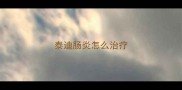 泰迪肠炎怎么治疗