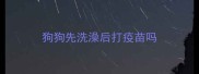 狗狗先洗澡后打疫苗吗