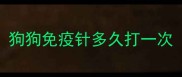 狗狗免疫针多久打一次