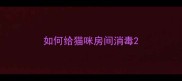 如何给猫咪房间消毒