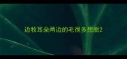 边牧耳朵两边的毛很多想脱