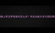 小狗晚上听见声音就叫怎么办专业训练方法与预防措施全