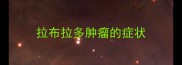 拉布拉多肿瘤的症状