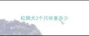 松狮犬3个月体重多少