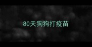 80天狗狗打疫苗