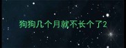 狗狗几个月就不长个了