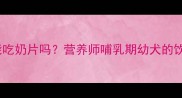 哺乳期幼犬必看狗狗能吃奶片吗营养师哺乳期幼犬的饮食禁忌与科学喂养指南