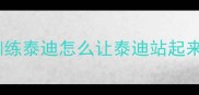 训练泰迪怎么让泰迪站起来