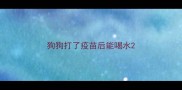 狗狗打了疫苗后能喝水