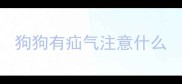 狗狗有疝气注意什么