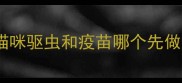 猫咪驱虫和疫苗哪个先做