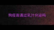狗疫苗通过乳汁分泌吗