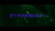 四个月的狗狗拉肚子