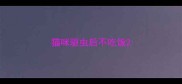 猫咪驱虫后不吃饭