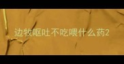 边牧呕吐不吃喂什么药