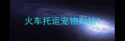 火车托运宠物到站