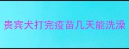 贵宾犬打完疫苗几天能洗澡