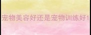 宠物美容好还是宠物训练好